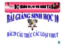 Bài giảng Sinh học 10 - Bài 29: Cấu trúc các loại virut