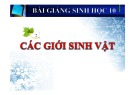 Bài giảng Sinh học 10 - Bài 2: Giới sinh vật