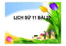 Bài giảng Lịch sử 11 - Bài 20: Chiến sự lan rộng. Cuộc kháng chiến của nhân dân ta từ năm 1873 đến năm 1884. Nhà Nguyễn đầu hàng