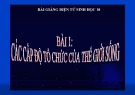 Bài giảng Sinh học 10 - Bài 1: Các cấp tổ chức của thế giới sống