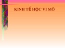 Bài giảng Kinh tế học: Kinh tế học vi mô