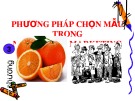 Bài giảng Chương 3: Phương pháp chọn mẫu trong nghiên cứu marketing