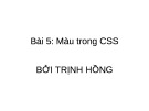 Bài giảng CSS - Bài 5: Màu trong CSS