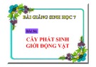 Bài giảng Sinh học 7 - Bài 56: Cây phát sinh trong giới động vật