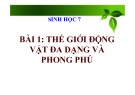 Bài giảng Sinh học 7 - Bài 1: Thế giới động vật đa dạng và phong phú