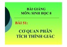 Bài giảng Sinh học 8: Cơ quan phân tích thính giác