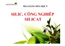 Bài giảng Hóa học 9: Silic. Công nghiệp Silicat