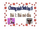 Bài giảng Sinh học 8: Bài mở đầu