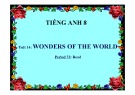 Bài giảng tiếng Anh 8 - Bài 14: Wonders of the world