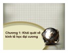 Bài giảng Kinh tế học: Chương 1 - Trương Thiên Hòa