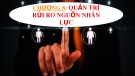 Bài giảng Quản trị rủi ro: Chương 8 - ThS. Võ Hữu Khánh (2017)