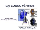 Bài giảng Đại cương về virus - TS. Nguyễn Thị Hoàng Lan