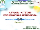 Bài giảng H.pylori  - C.tetani pseudomonas aeruginosa - ThS. DS Phẩm Thu Minh