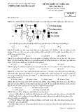 Đề thi khảo sát giữa HK 2 môn Sinh học lớp 12 - THPT Nguyễn Văn Cừ - Mã đề 022