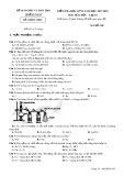 Đề thi HK 2 môn Hóa học lớp 10 năm 2018 - Sở GD&ĐT Quảng Nam - Mã đề 305