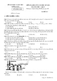 Đề thi HK 2 môn Hóa học lớp 10 năm 2018 - Sở GD&ĐT Quảng Nam - Mã đề 312