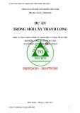 Dự án trồng mới cây thanh long