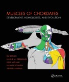  muscles of chordates - development, homologies, and evolution: part 2