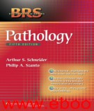  brs pathology (5/e): part 1