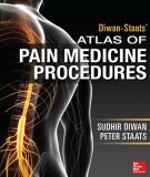  atlas of pain medicine procedures: part 1