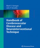  handbook of cerebrovascular disease and neurointerventional technique: part 1