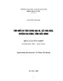 Tóm tắt Khóa luận tốt nghiệp khoa Bảo tàng học: Tìm hiểu di tích chùa Đại Bi, xã Thái Bảo, huyện Gia Bình, tỉnh bắc Ninh