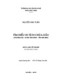 Tóm tắt Khóa luận tốt nghiệp khoa Bảo tàng học: Tìm hiểu di tích Chùa Dầu”, xã Khánh Hoà - huyện Yên Khánh - tỉnh Ninh Bình