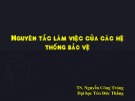 Bài giảng Nguyên tắc làm việc của các hệ thống bảo vệ - TS. Nguyễn Công Tráng