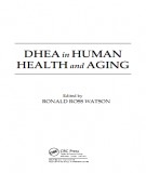  dhea in human health and aging: part 2