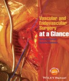  vascular and endovascular surgery at a glance: part 1