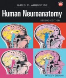  human neuroanatomy (2nd edition): part 2