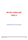 Bài tập lượng giác Toán 11