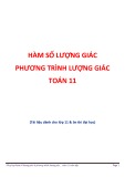 Hàm số lượng giác và phương trình lượng giác Toán 11