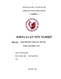 Tóm tắt Khóa luận tốt nghiệp khoa Xuất bản - Phát hành: Thị trường truyện tranh ở Hà Nội hiện nay