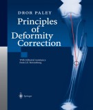  principles of deformity correction: part 2