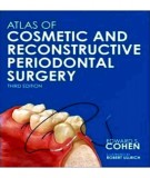  atlas of cosmetic and reconstructive periodontal surgery (3/e): part 2