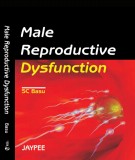  male reproductive dysfunction: part 1