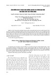 Ảnh hưởng của kỹ thuật gieo không làm đất và lượng đạm bón đến năng suất đậu tương đông