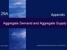 Lecture Economics (19/e) - Chapter 29-Appendix: Aggregate demand and aggregate supply