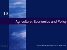 Lecture Economics (19/e) - Chapter 19: Agriculture: Economics and policy