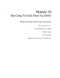 Tấn công từ chối dịch vụ (DoS): Module 10