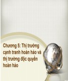 Bài giảng Kinh tế học đại cương: Chương 5 - ThS.Trương Thị Hòa