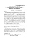 Nghiên cứu biến đổi hình thái và chức năng thất trái bằng siêu âm Doppler ở bệnh nhân sau ghép thận