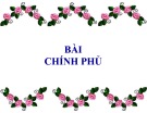 Bài giảng Luật hiến pháp Việt Nam: Bài 8 - ThS. Phan Nguyễn Phương Thảo