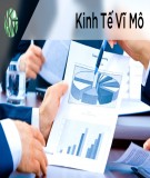 Bài tập lớn Kinh tế vĩ mô: Phân tích tình hình cung cầu Cà phê Việt Nam 2007-2017