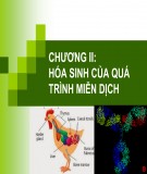 Bài giảng Hóa sinh động vật: Chương 2