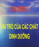 Bài giảng Dinh dưỡng động vật: Chương 1.1 - TS. Lê Việt Phương