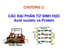 Bài giảng Sinh học phân tử: Chương 2