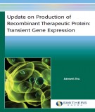  update on production of recombinant therapeutic protein – transient gene expression: part 2