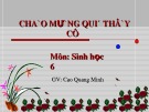 Bài giảng Sinh học 6: Bài 17 - Vận chuyển các chất trong thân - GV. Cao Quang Minh